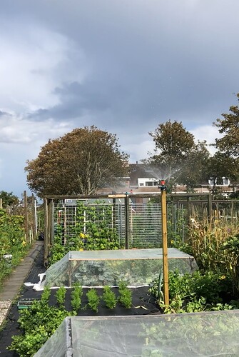 moestuin