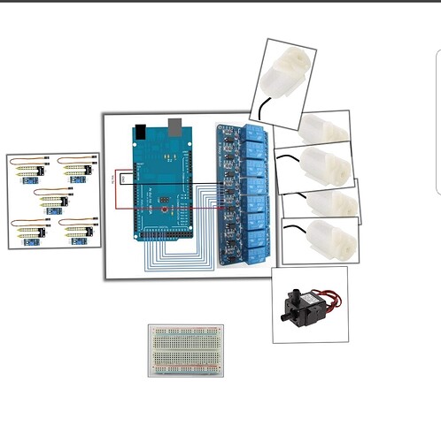 Screenshot_20200119-185925_Collage PIP.jpg