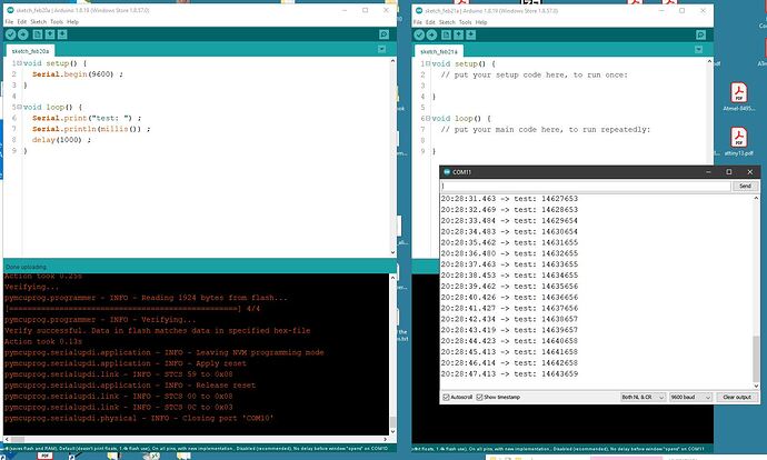 Screen Dump 2 x serial