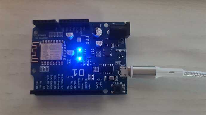 Scheda Arduino