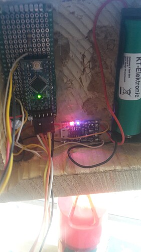 20190430_121040 (Large).jpg