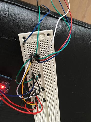 53155132_1934819273294112_3543857178983006208_n.jpg