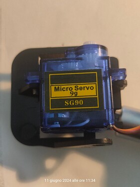 IMG20240611113435