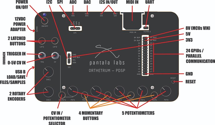 panel final