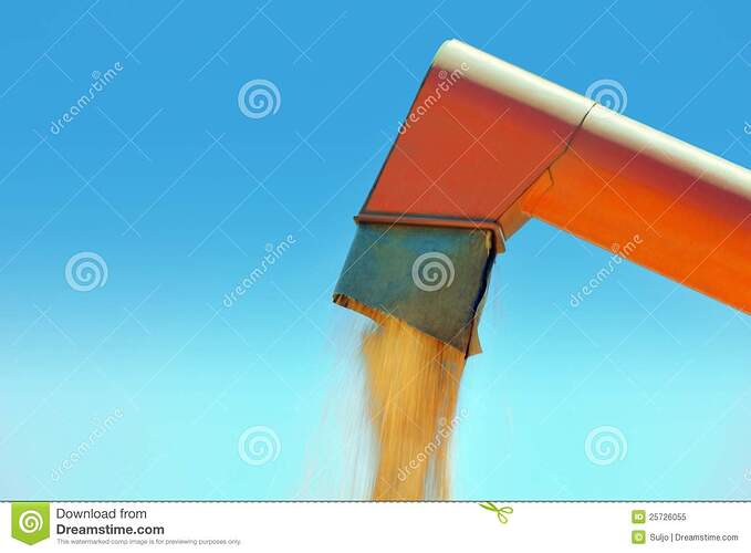 grain-auger-25726055.jpg