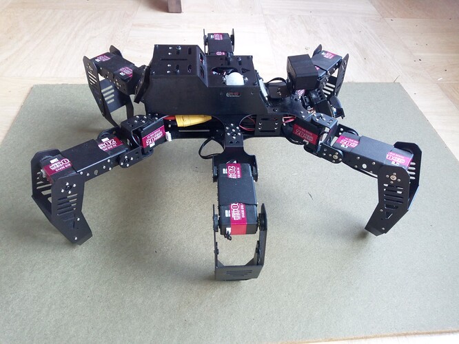 IMG_20240501_152255_380