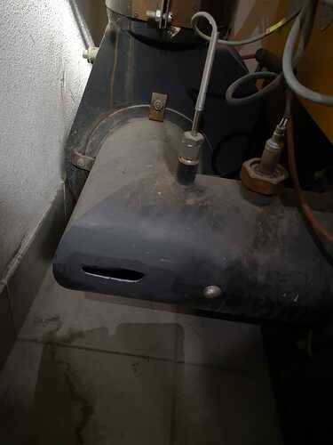 WhatsApp Image 2020-02-05 at 11.49.41.jpg