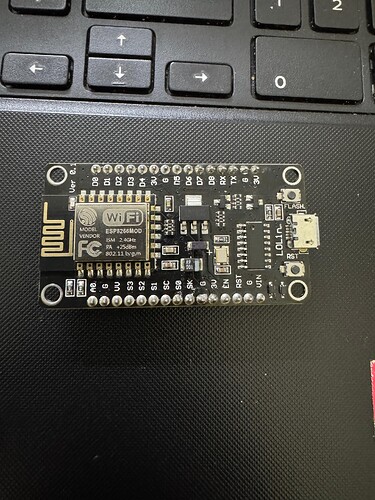 board image