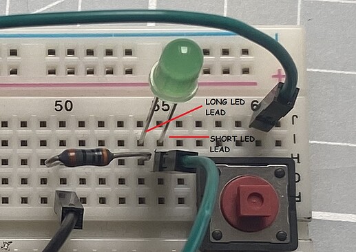 led leads
