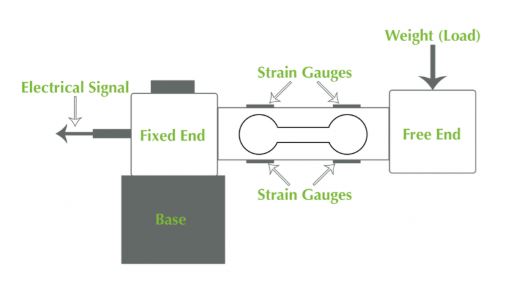 Load Cell.JPG