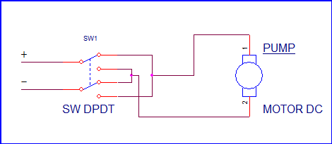 SW DPDT MTR REV