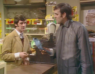 DeadParrot
