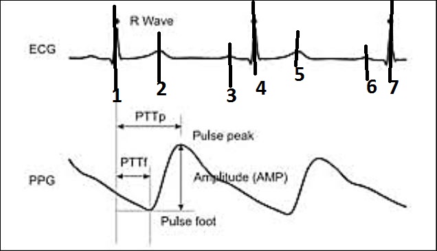 PTT_Peaks.jpg