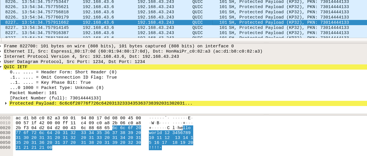 Protected Payload messages sent by ESP8285 Home Automation Arduino