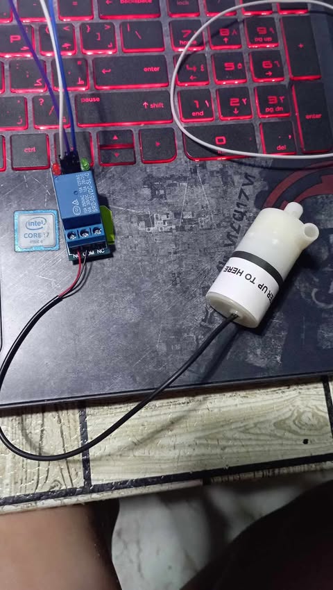 Water pump with selectable water levels - Page 4 - Programming ...