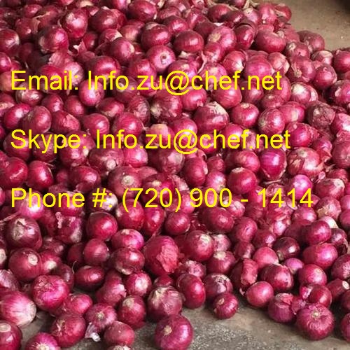 fresh red onion.jpg