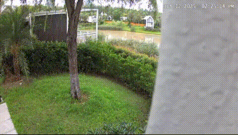 4 (1)