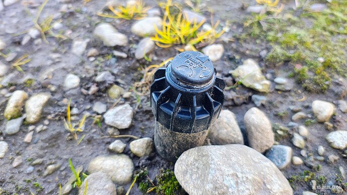 IMG_20251031_130624680_HDR_AE