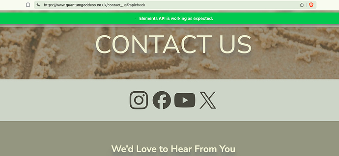 contact-form-api-check