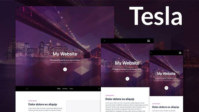 Tesla_project_001