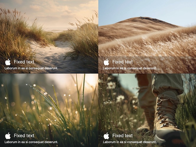 forum image with fixed text