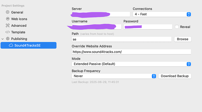 This image shows a web publishing settings interface with server connection and backup options, with sensitive information obscured in purple. (Captioned by AI)