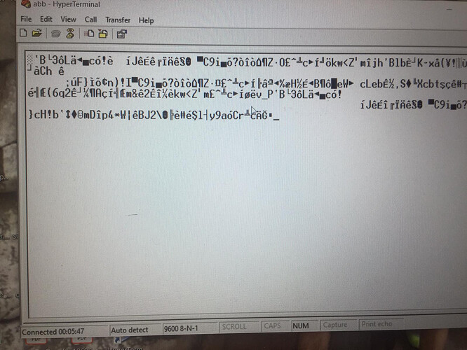 image.jpg