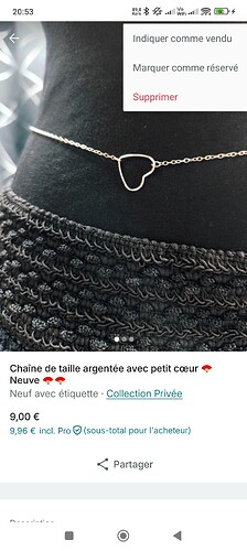 Screenshot_2025-04-27-20-53-10-244_fr.vinted