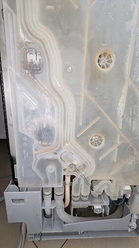 PXL_20250706_084908232