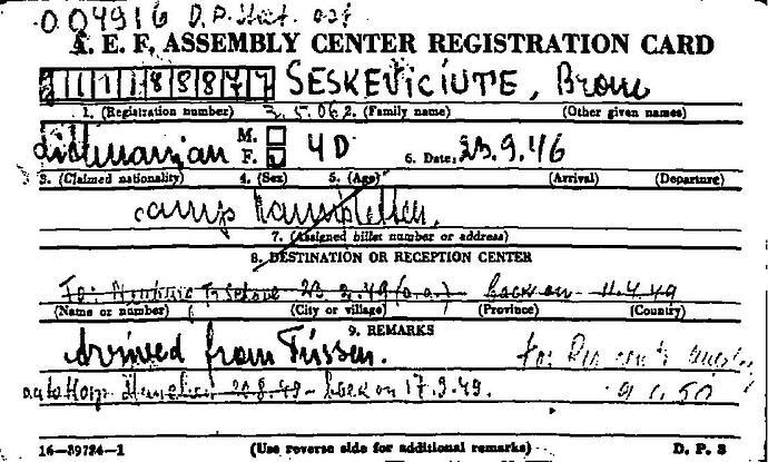 Document from the Arolsen Archives with the ID: 37102287a