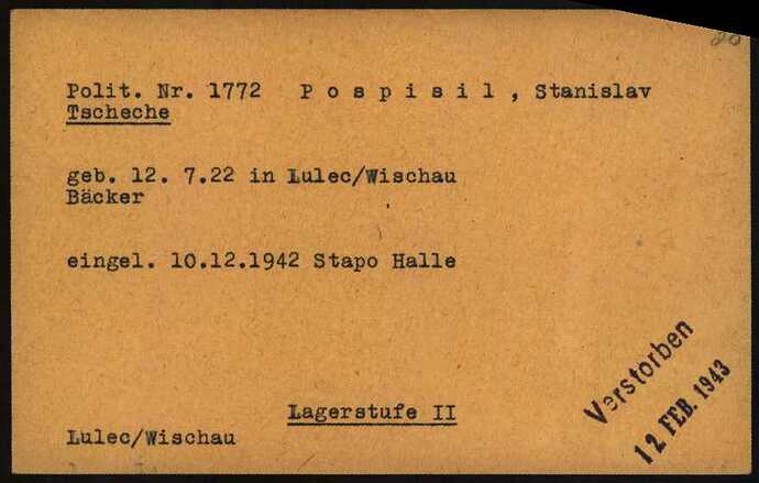 Document from the Arolsen Archives with the ID: 6863101