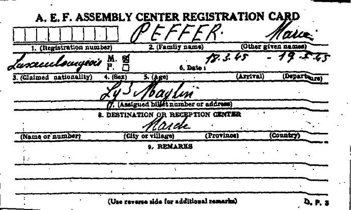 Document from the Arolsen Archives with the ID: 46056518a