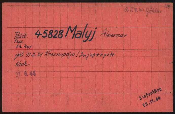 Document from the Arolsen Archives with the ID: 6558413