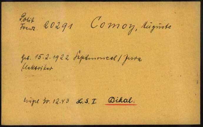Document from the Arolsen Archives with the ID: 5696277