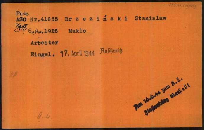Document from the Arolsen Archives with the ID: 5624539