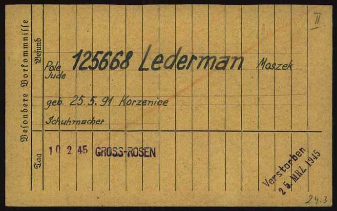 Document from the Arolsen Archives with the ID: 6460768