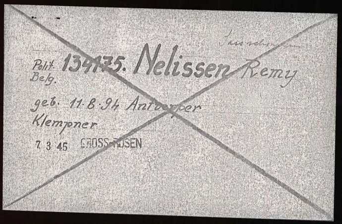 Document from the Arolsen Archives with the ID: 6697533