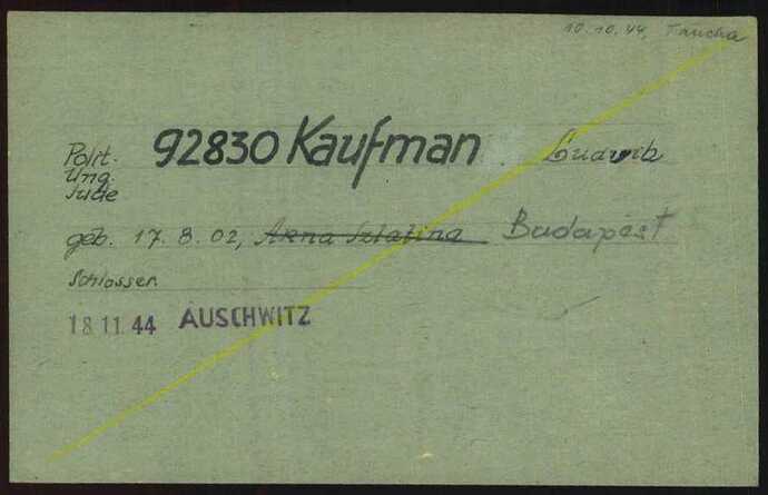 Document from the Arolsen Archives with the ID: 6251786