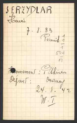 Document from the Arolsen Archives with the ID: 133731312