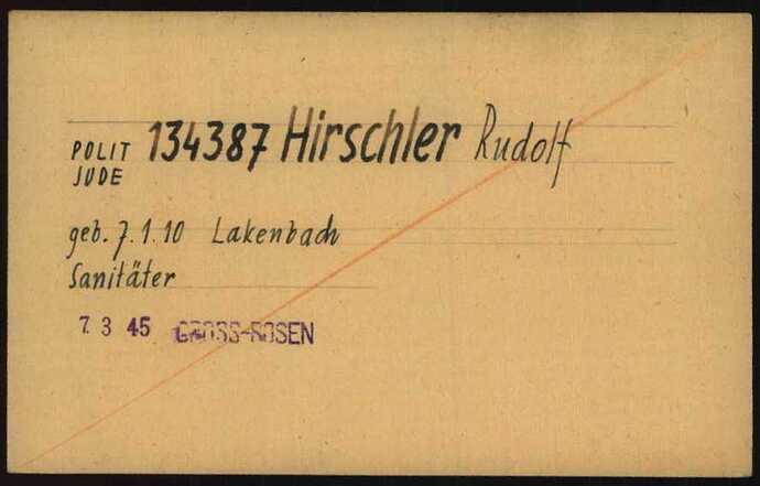 Document from the Arolsen Archives with the ID: 6102296