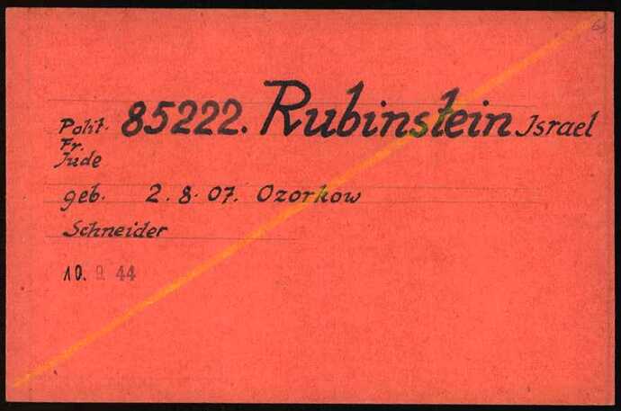 Document from the Arolsen Archives with the ID: 6973384