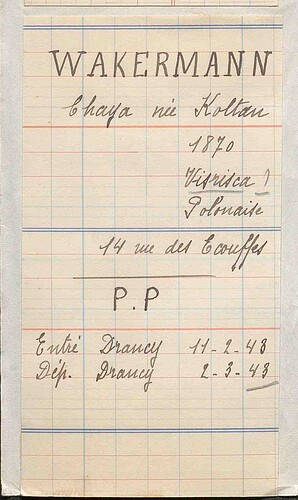 Document from the Arolsen Archives with the ID: 133735231