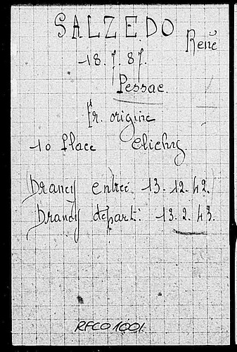Document from the Arolsen Archives with the ID: 133736973