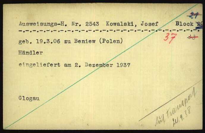 Document from the Arolsen Archives with the ID: 6355160