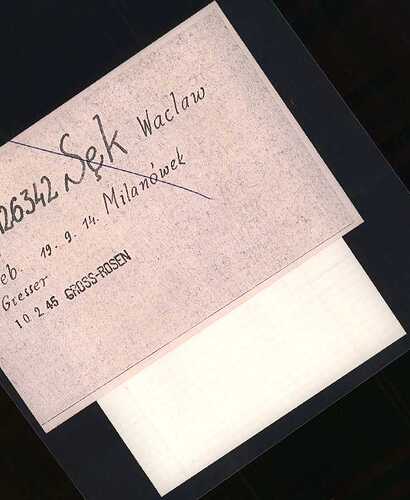 Document from the Arolsen Archives with the ID: 5432291