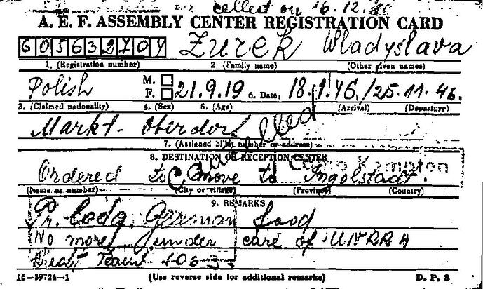 Document from the Arolsen Archives with the ID: 43352393a