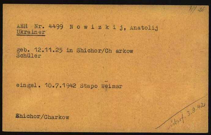 Document from the Arolsen Archives with the ID: 6728228