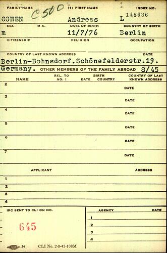 Document from the Arolsen Archives with the ID: 132600482
