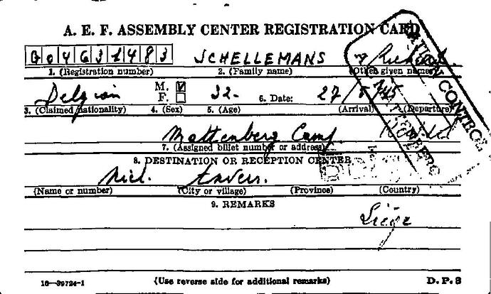 Document from the Arolsen Archives with the ID: 37455072a