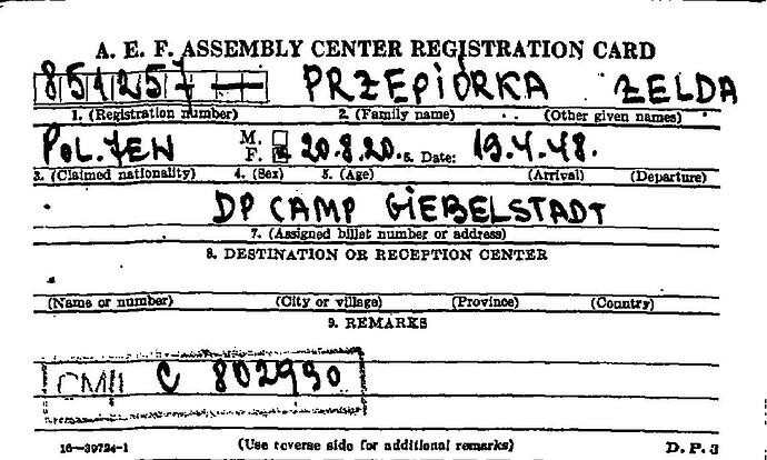 Document from the Arolsen Archives with the ID: 33015369a
